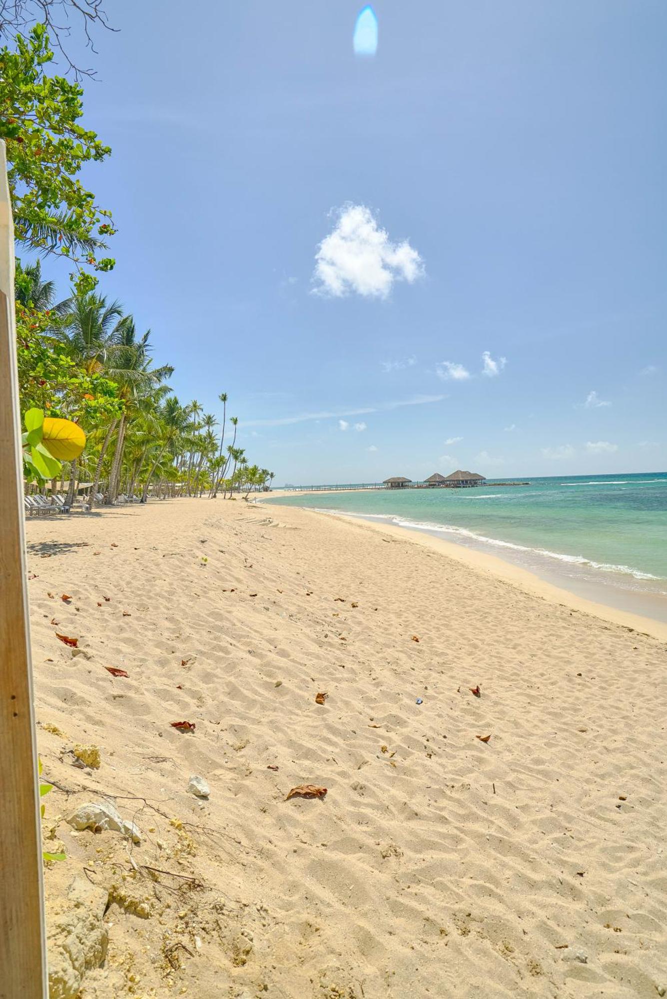 1BR Oasis 2Min to the Beach Juan Dolio, foto 13