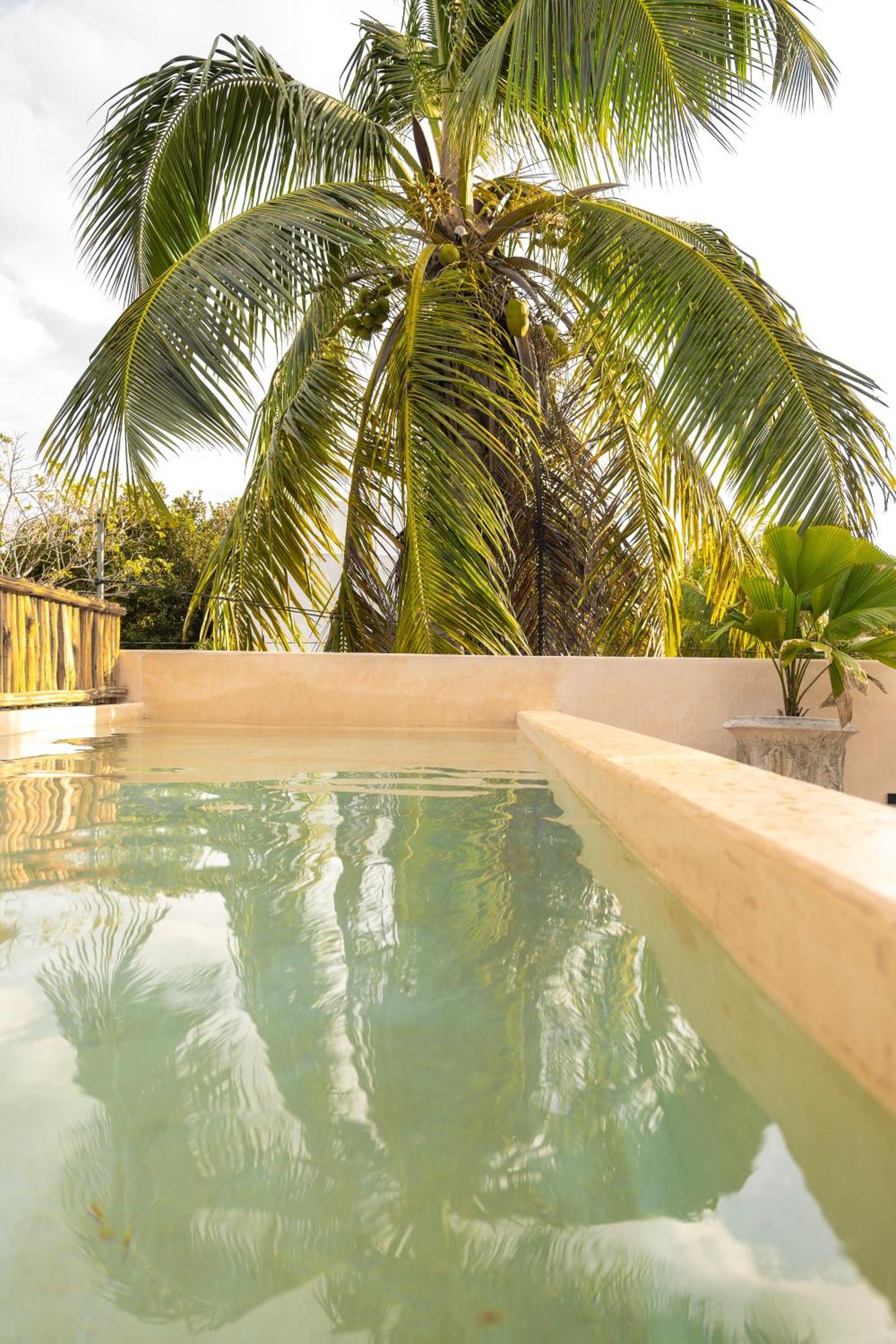 Villa Hydra Private Villa with Rooftop Pool, foto 9