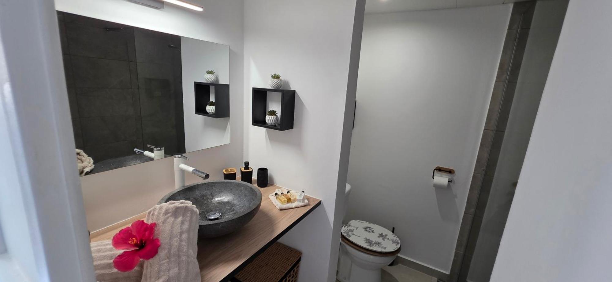 STUDIO La Diamantinoise, foto 15