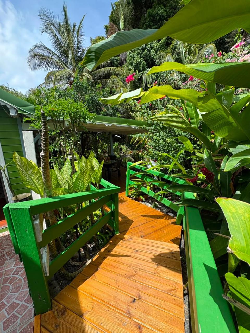 Gite d'Arles Bungalow "L'Oasis", imagen 4