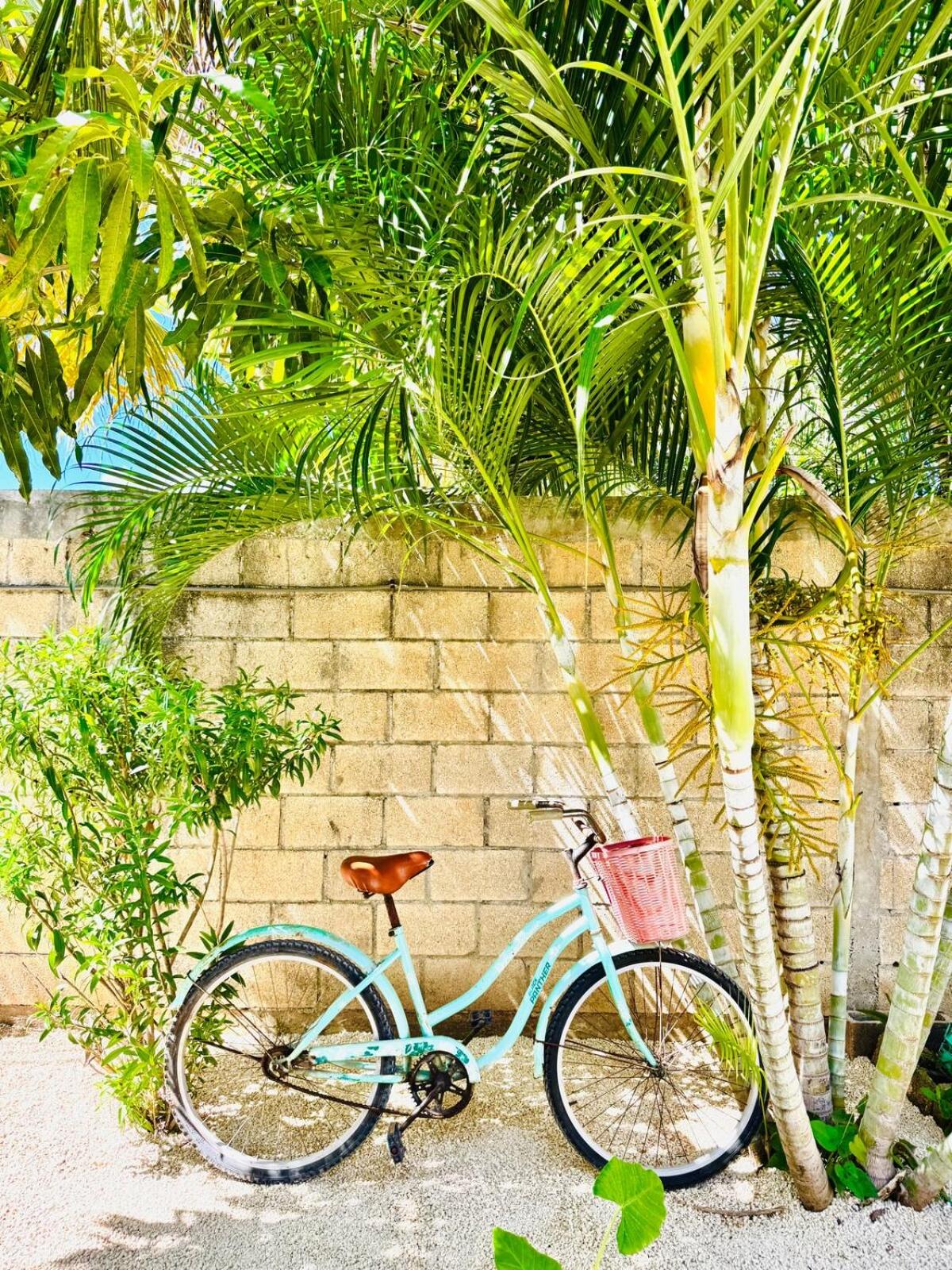 Garden House 2 bikes, foto 7