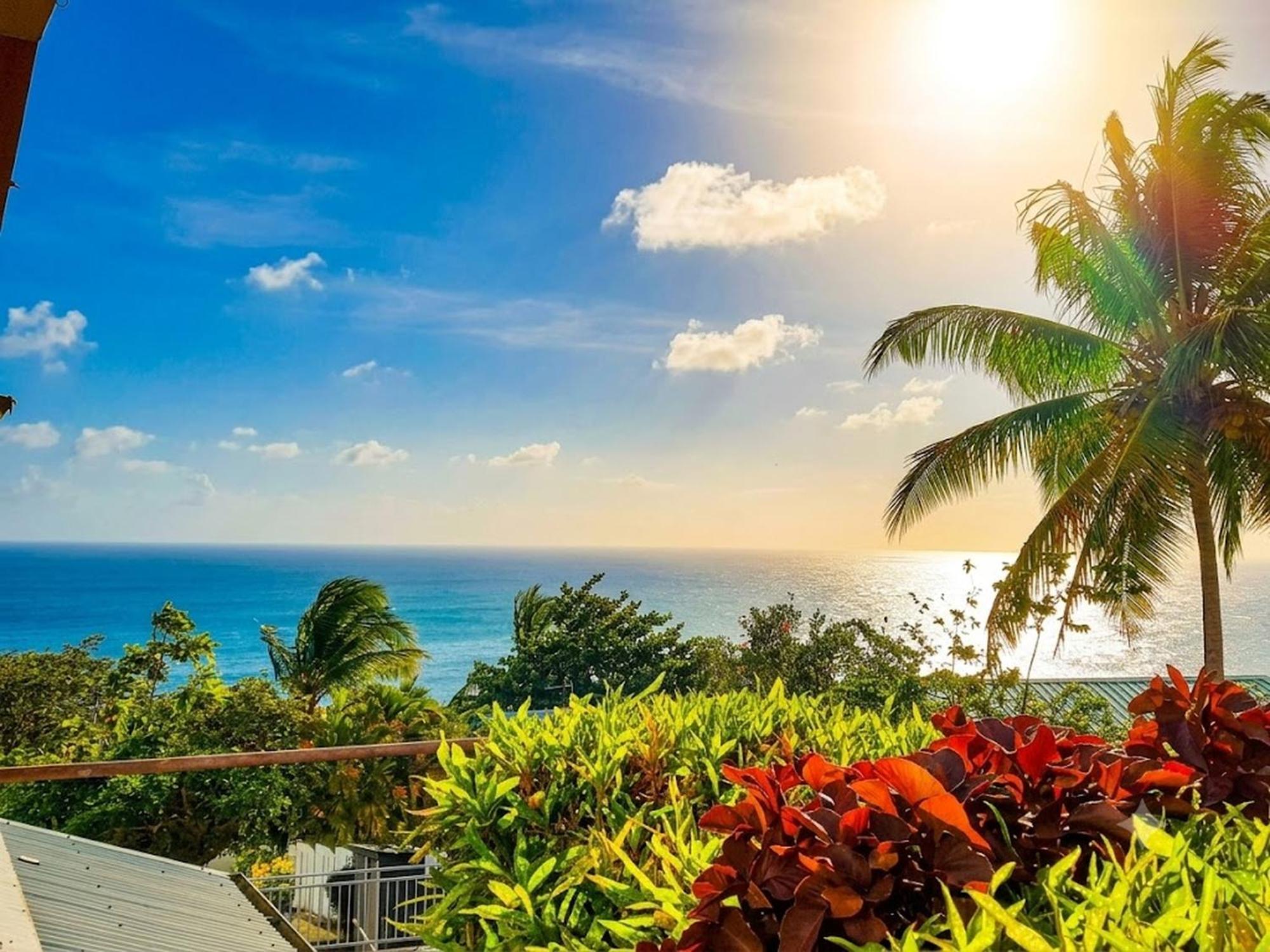 Vue mer & jardin privé , appartement climatisé proche plages