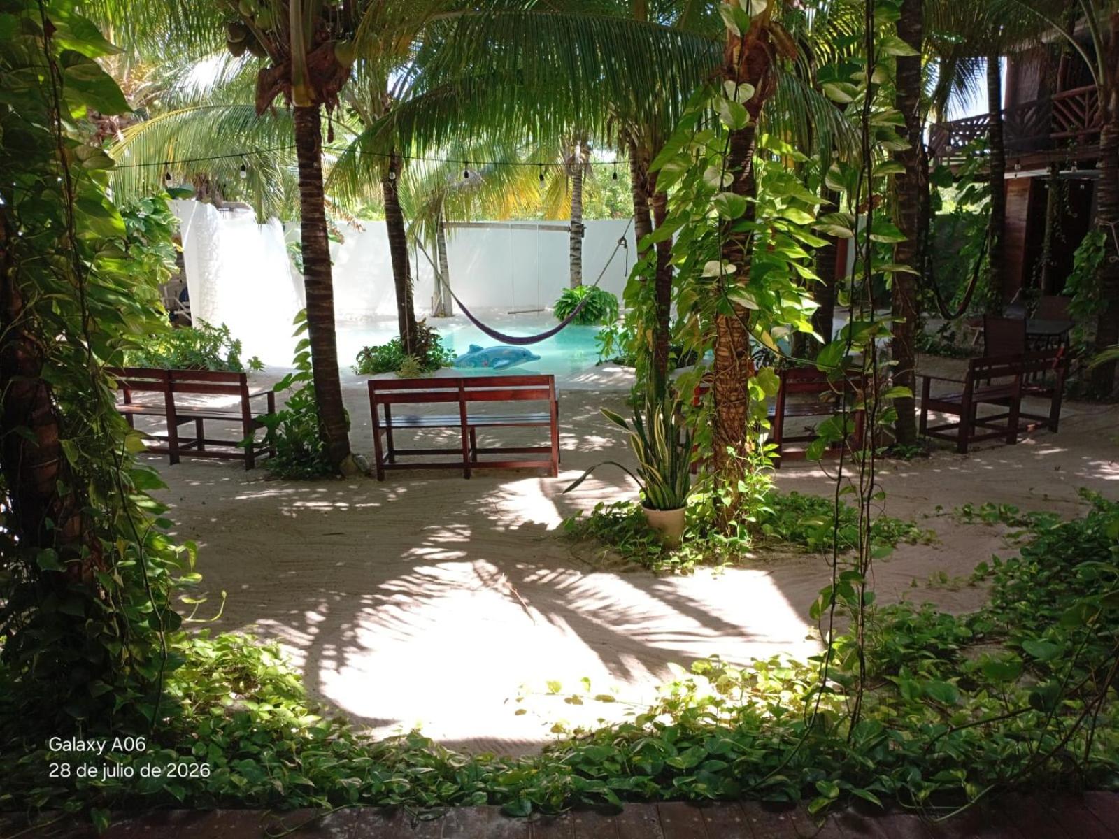 Secret Paradise Mahahual, imagen 4