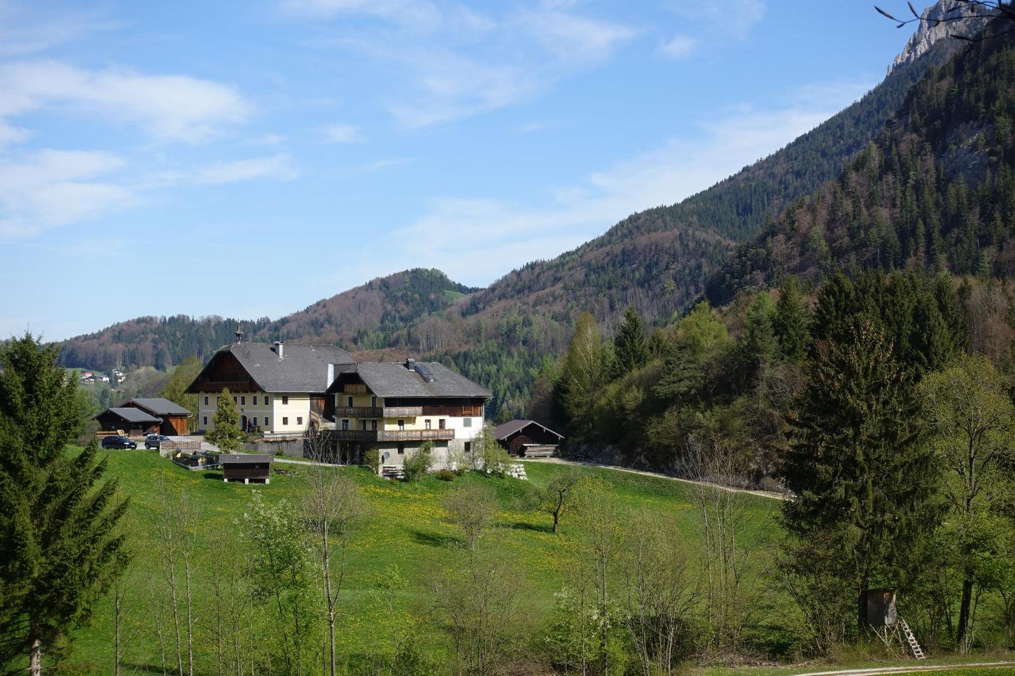 Urlauben im Grünen