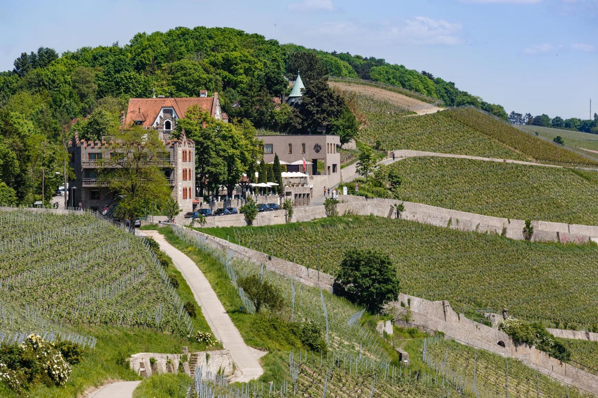 Schloss Steinburg