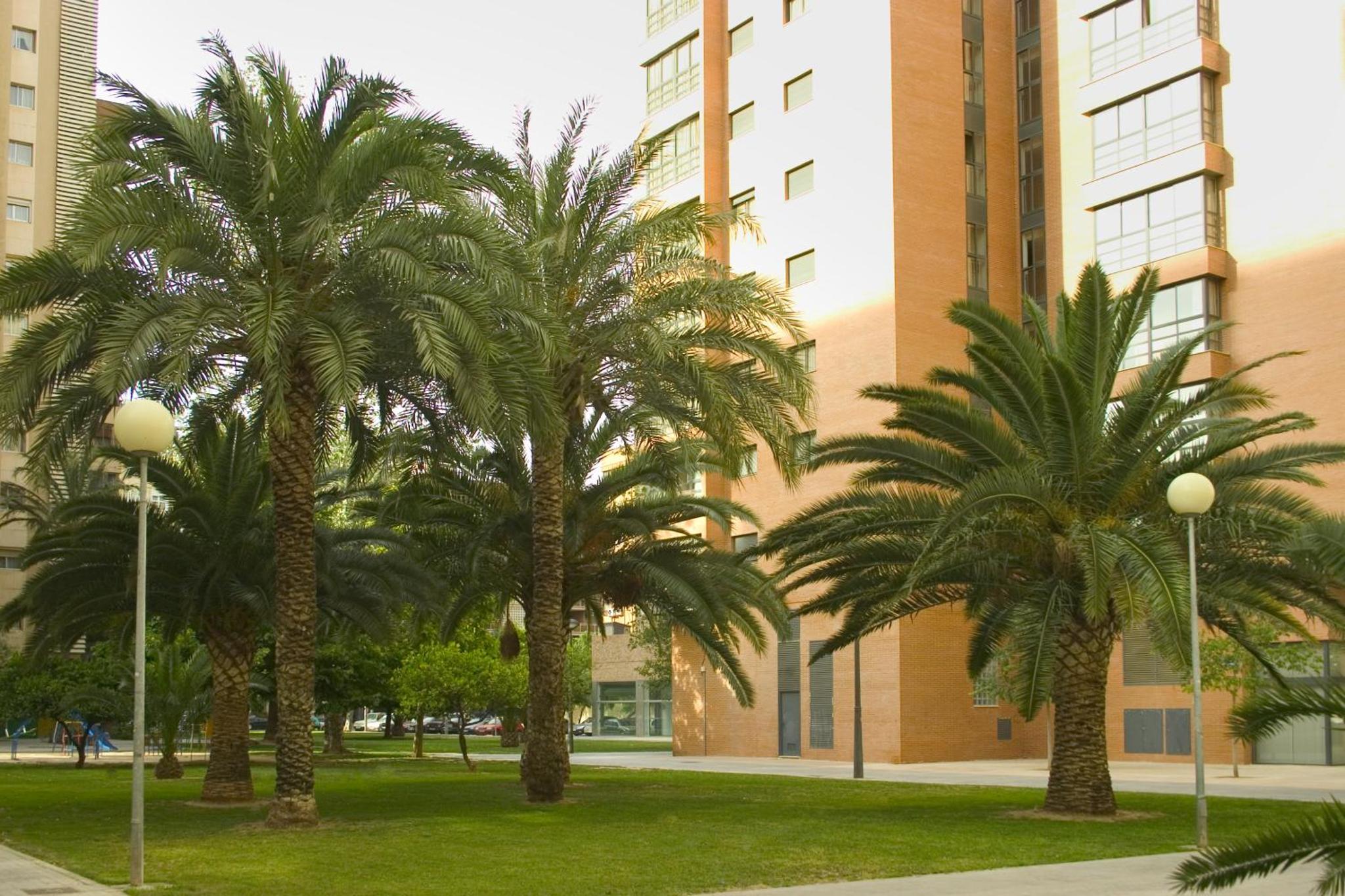Plaza Picasso Apartamentos