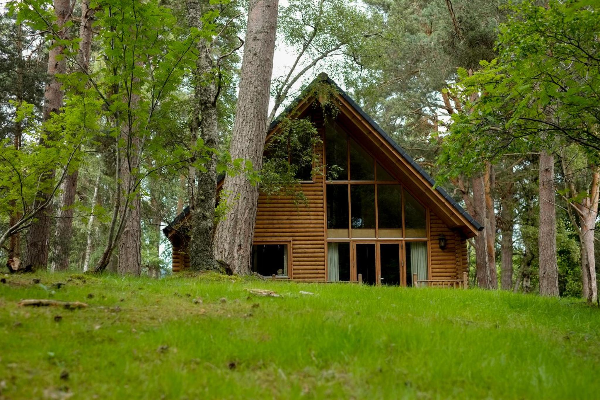 Luxury Woodland Lodges