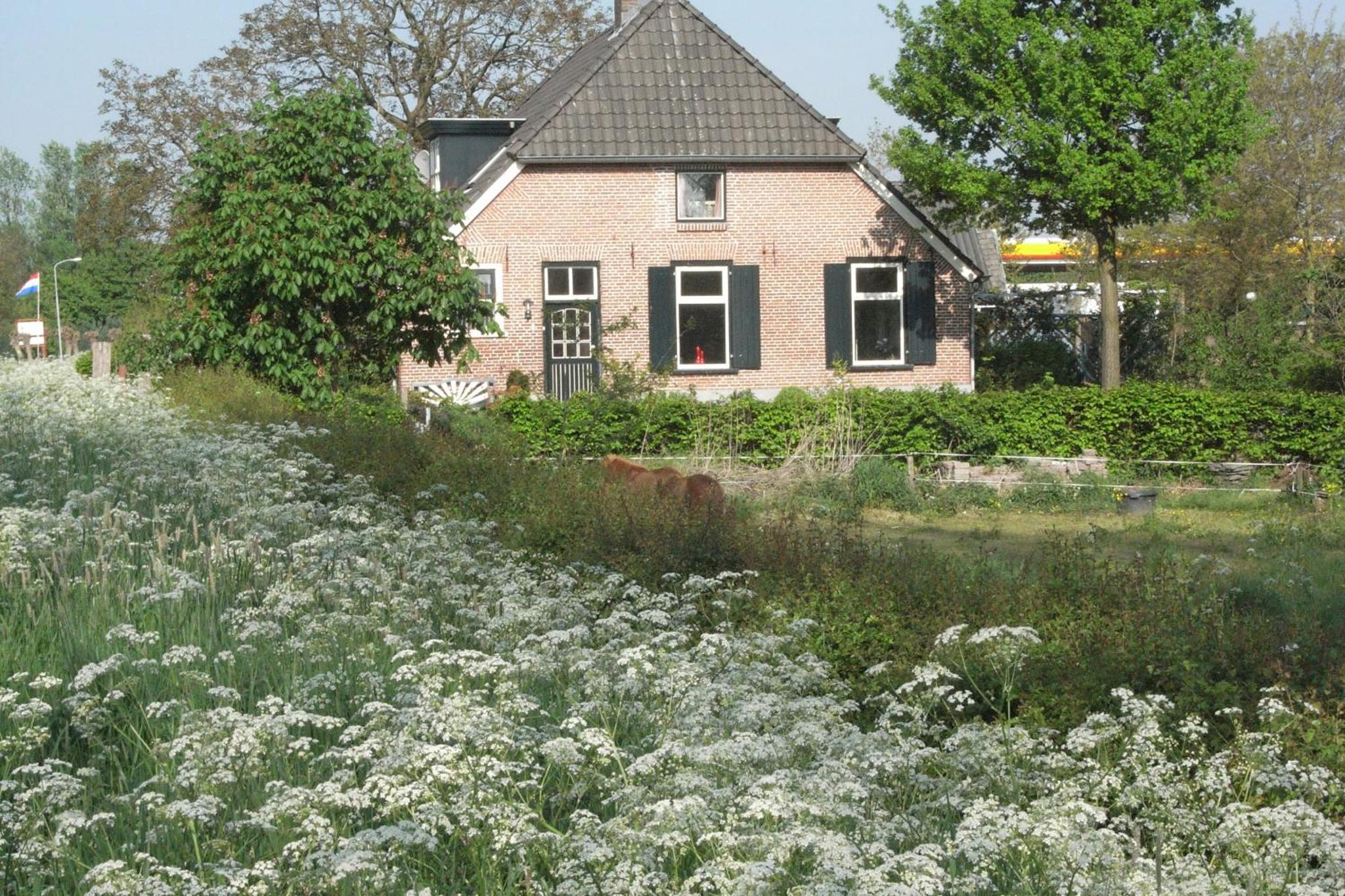Bed and Garden d’Alde Coninckshof