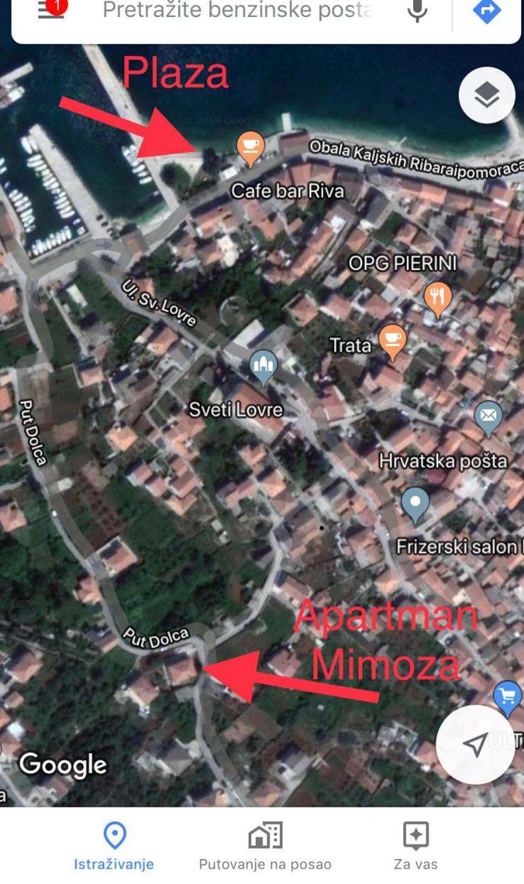 Mimoza