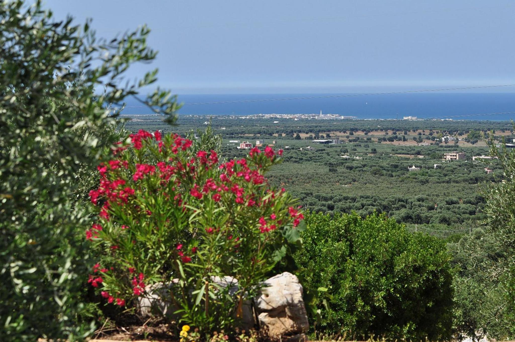 Masseria Spetterrata