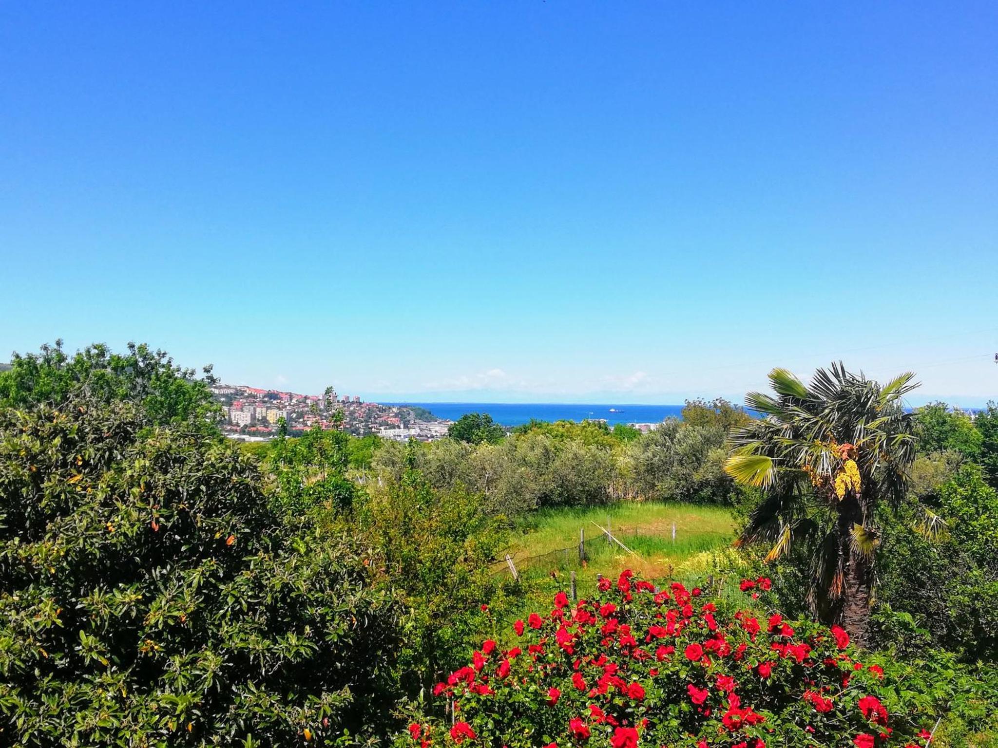 Peaceful View Apartment