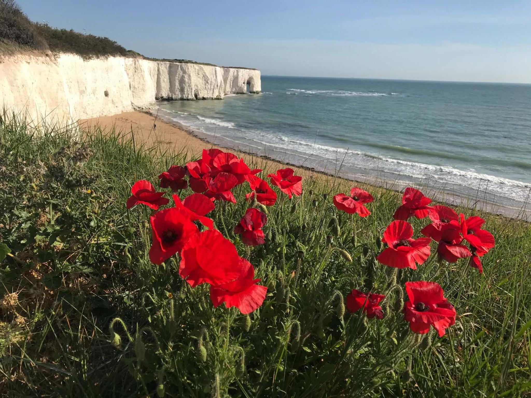 Historic beachfront with a parking space - Direct Accessibility to Kingsgate Bay