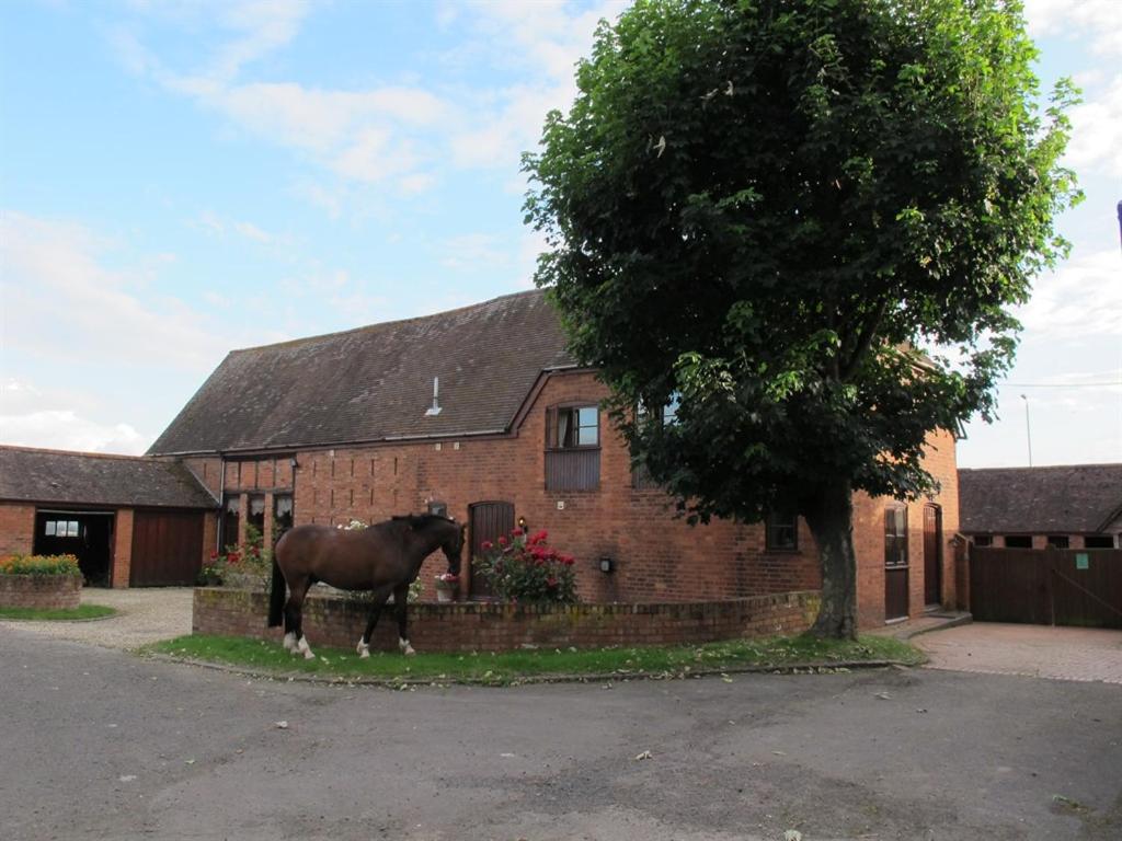 Bluebell Farm