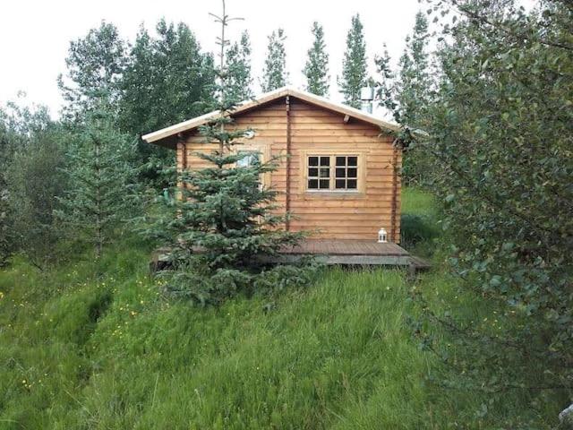 Arngrimslundur log cabin - cabin 3