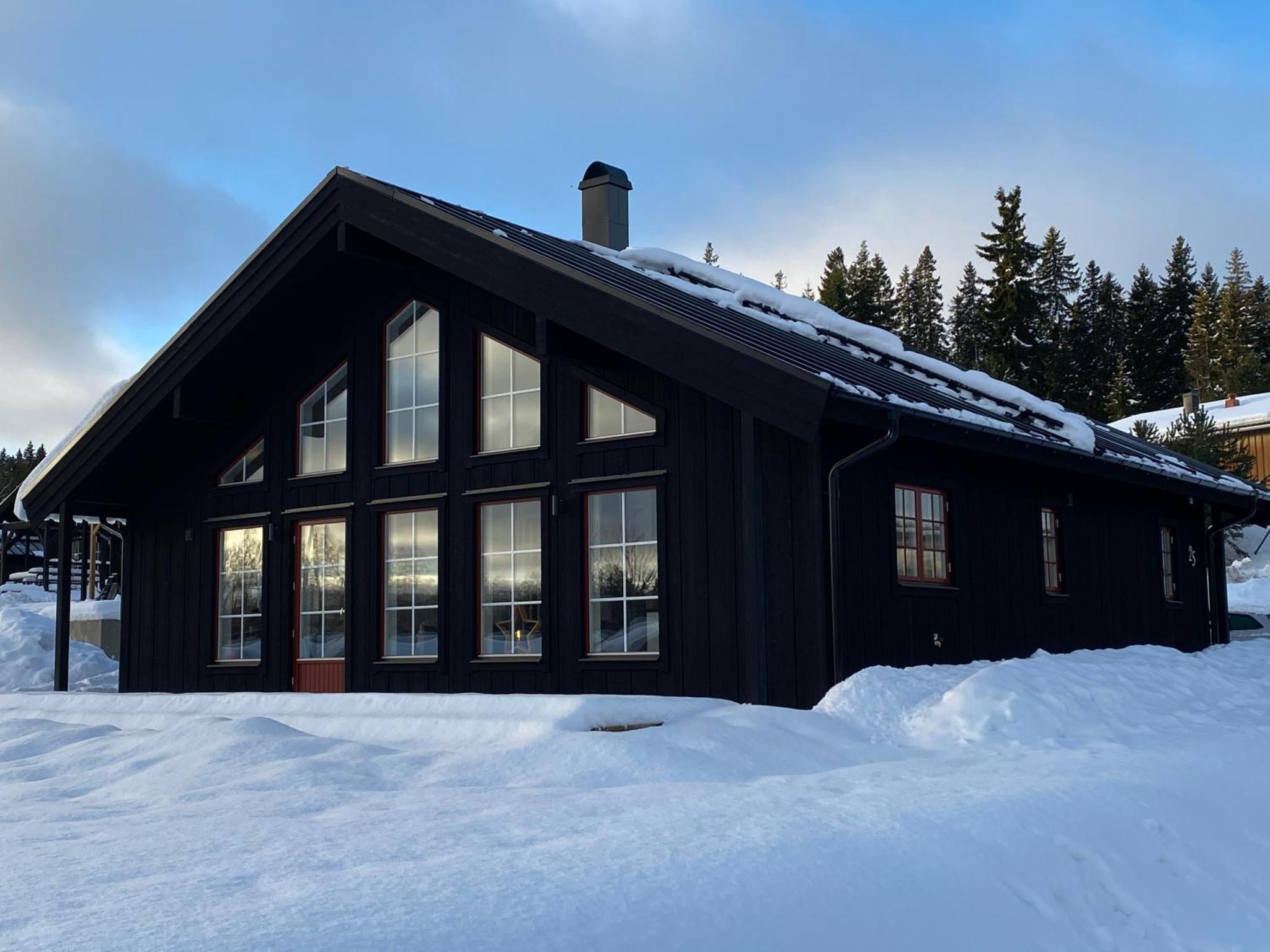 Jarvso House. Ski In / Ski Out