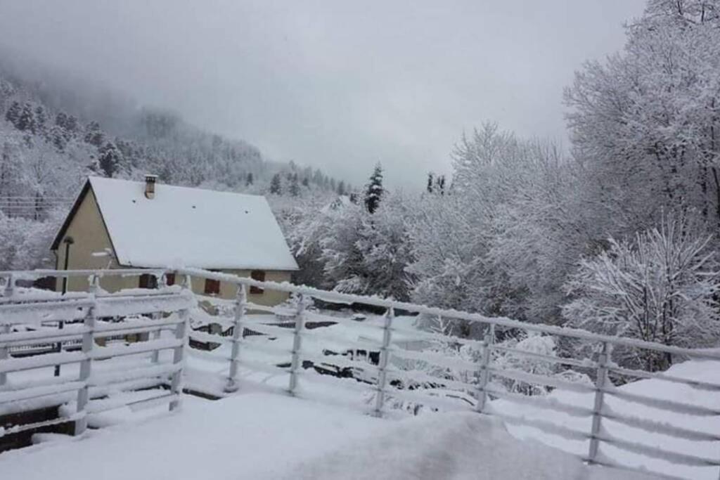 Chalet Loulou, massif central, Le Mont-Dore