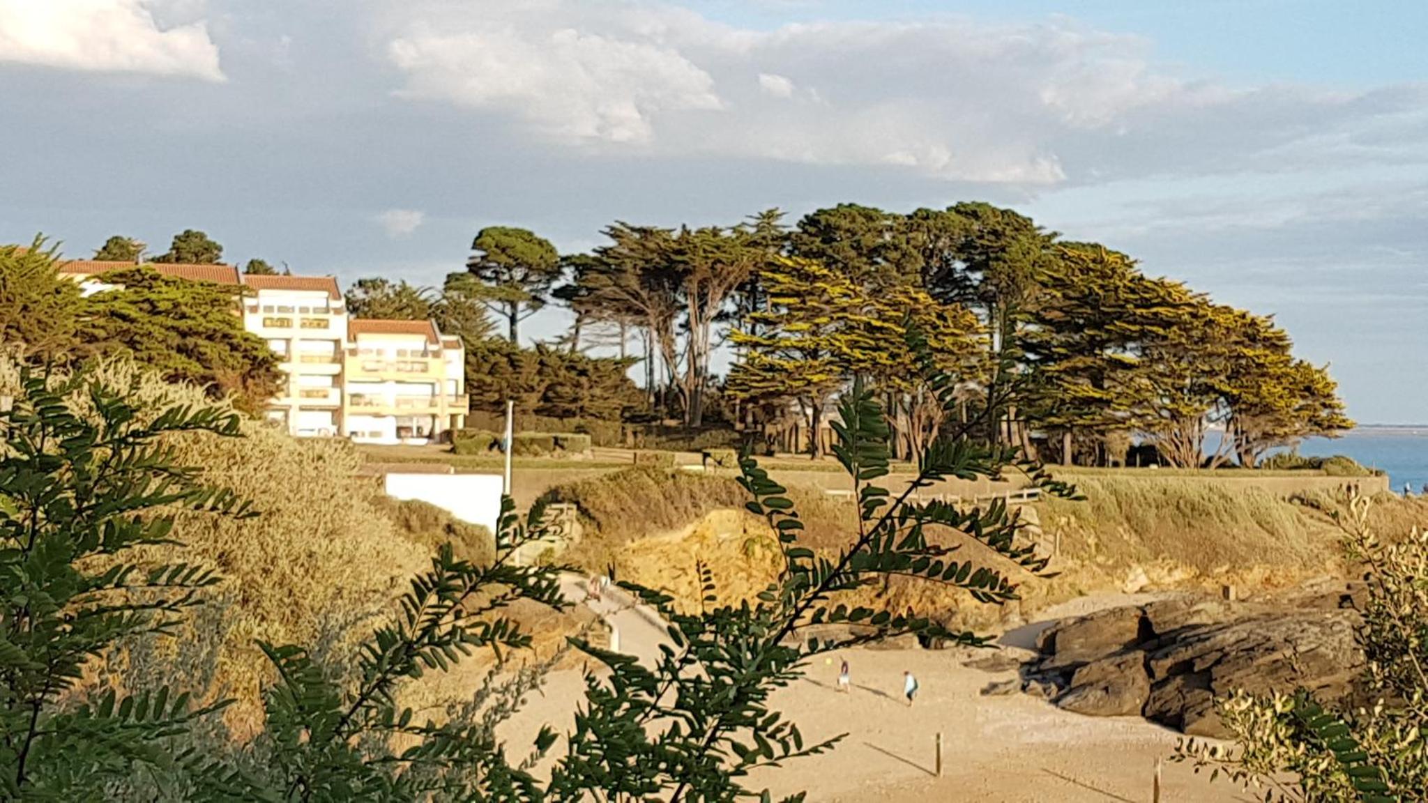 Appartement En Rdc Avec Terrasse Face a la Mer