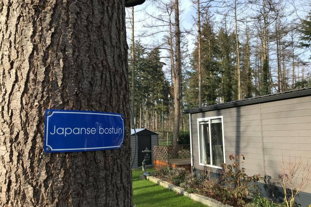 Japanse Bostuin Met Wifi