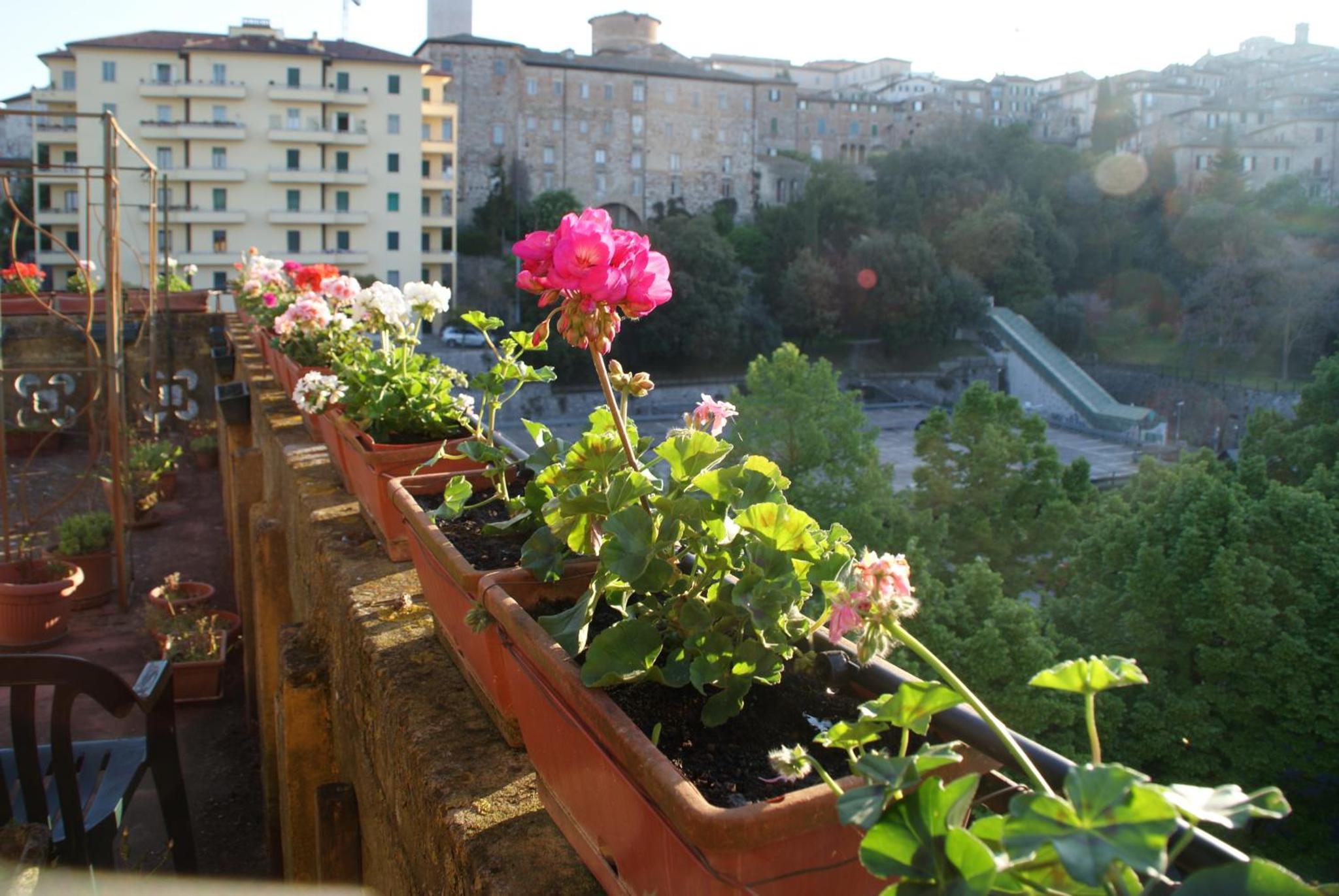 B&B Alla Residenza Domus Minervae