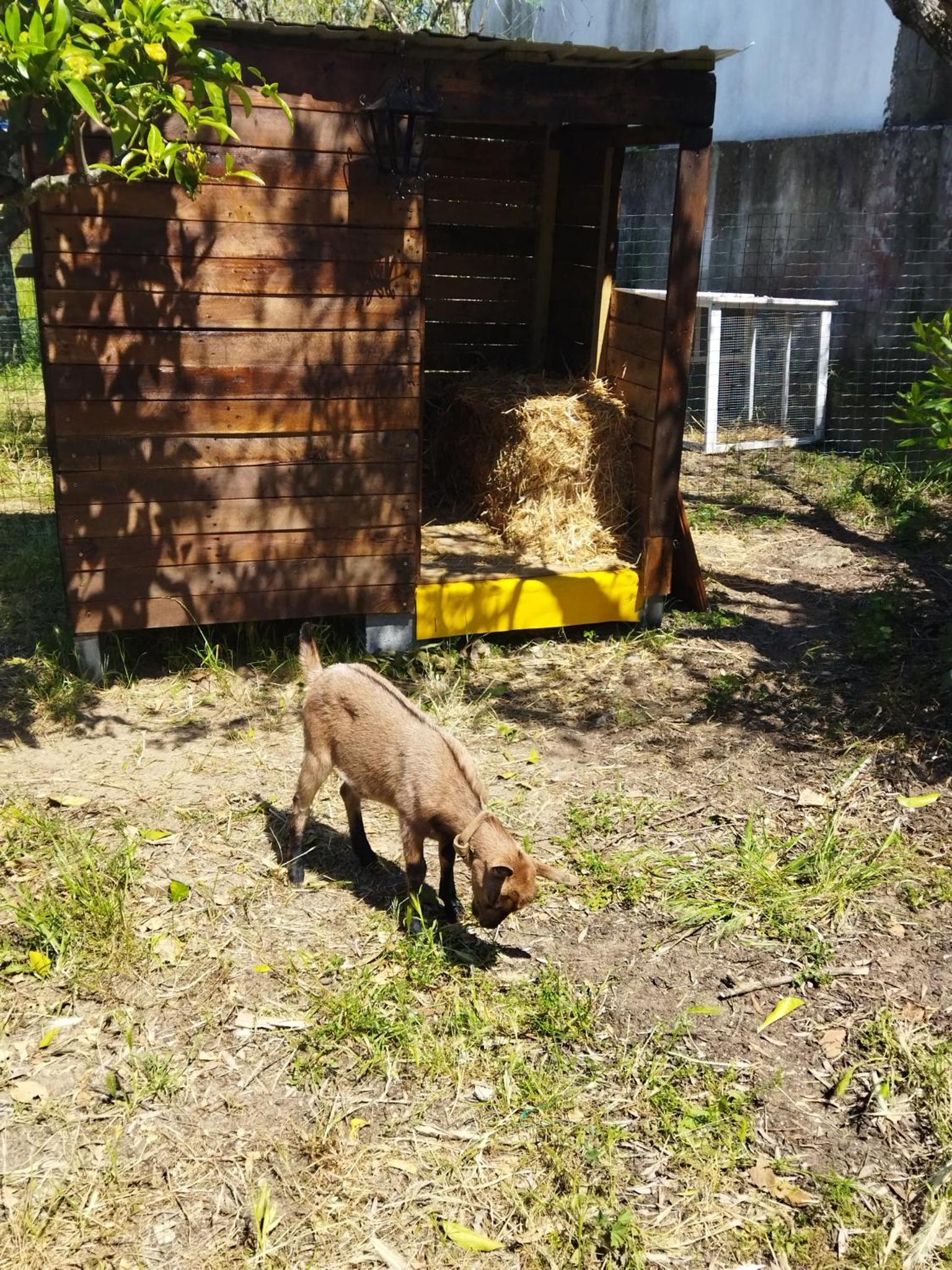 Casa Das Laranjeiras E Parque Infantil