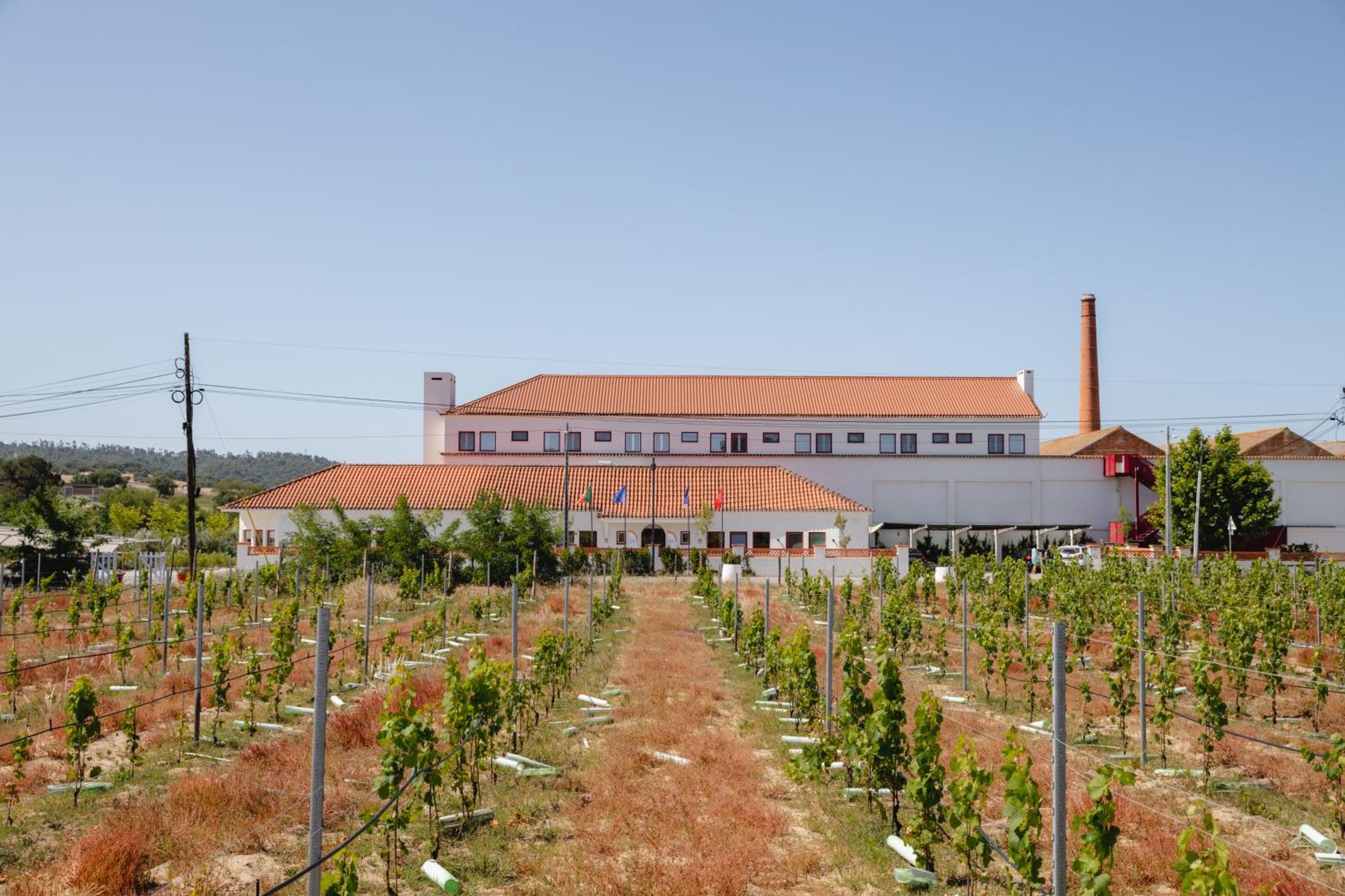 Hotel Rural Da Barrosinha