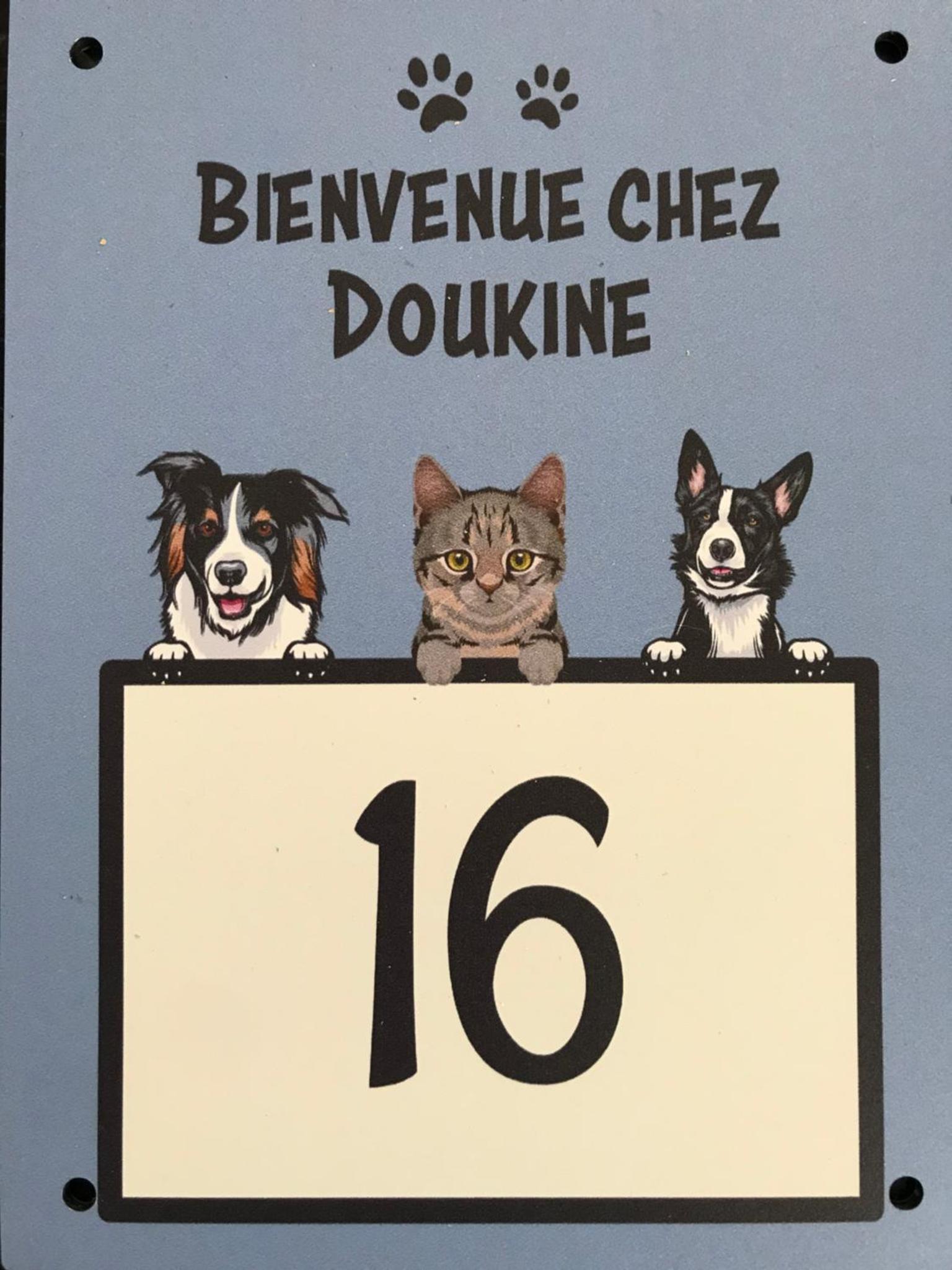 Chez DouKine