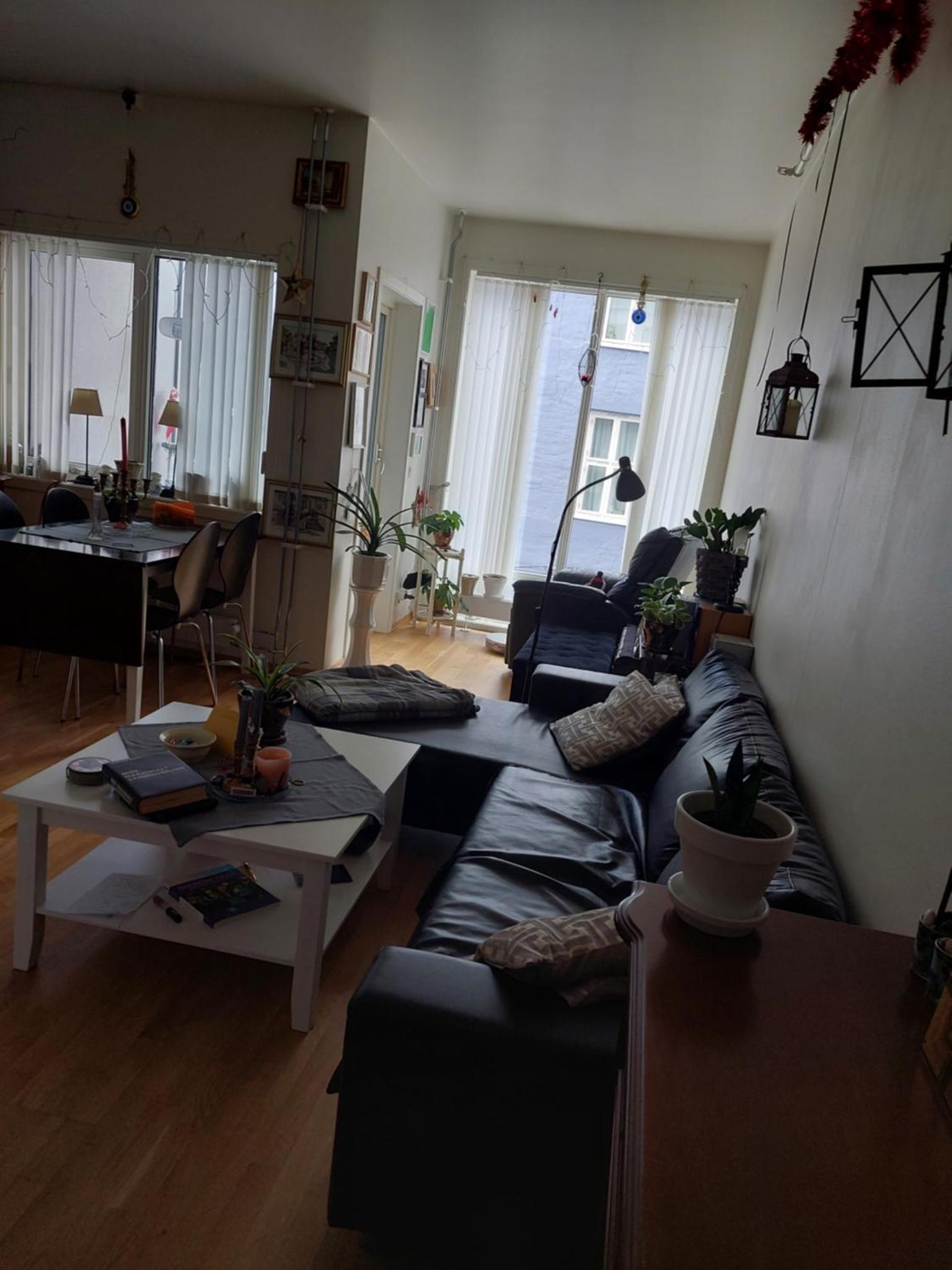 Shared apartment, Down Town Oslo, Osterhaus'gate 10
