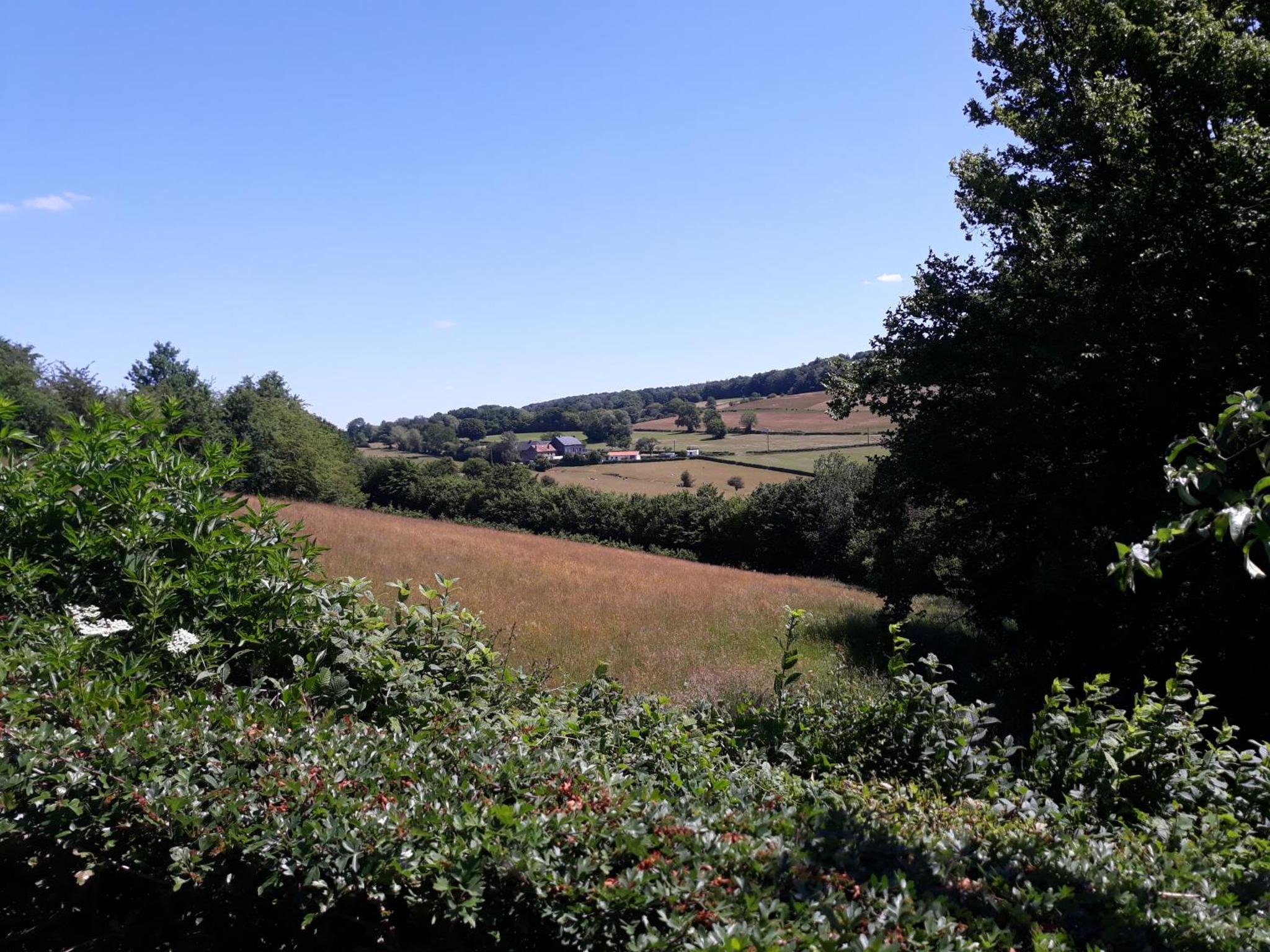 Studio Au jardin fleuri