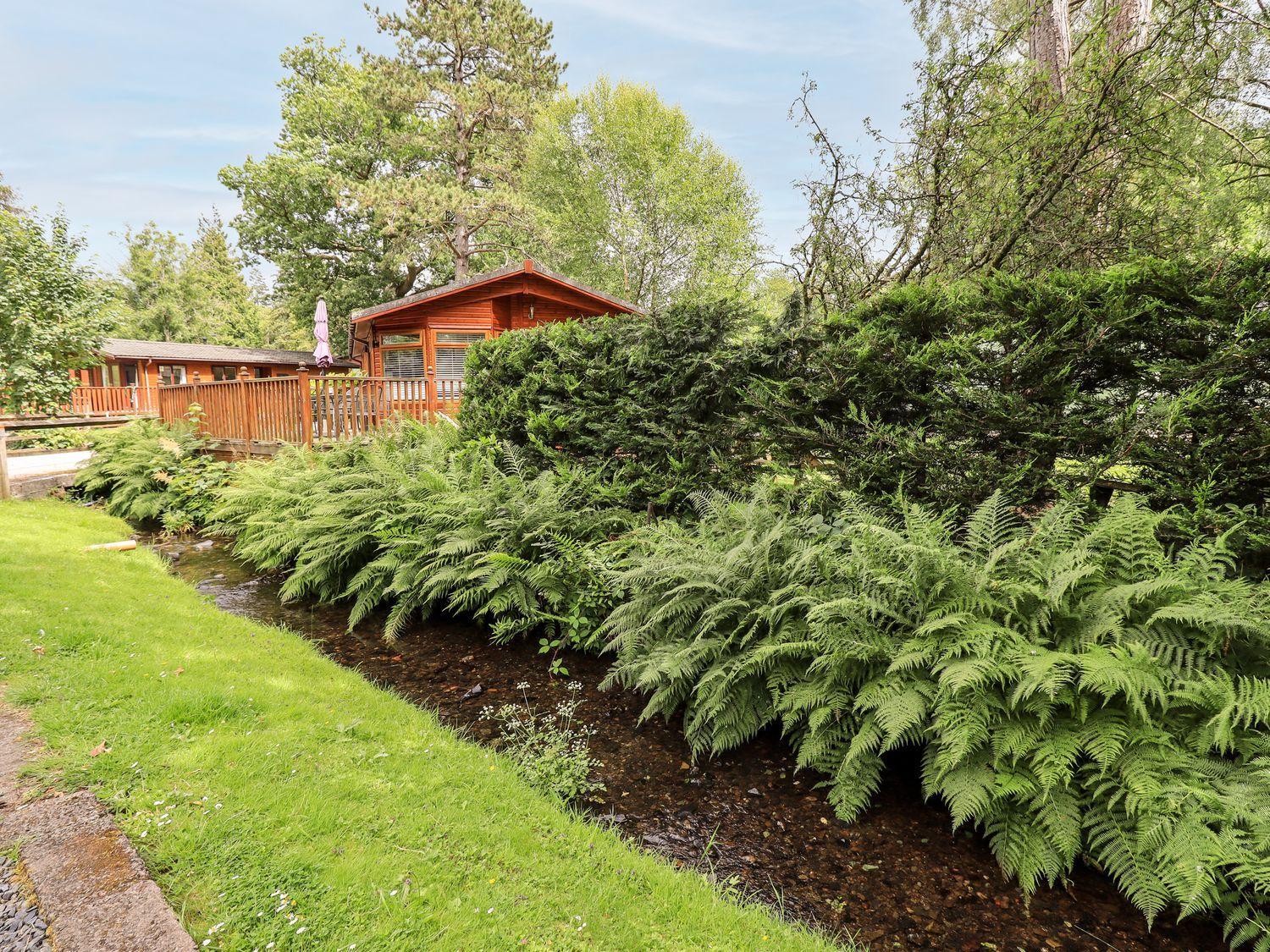 Tiggywinkle Beck Lodge