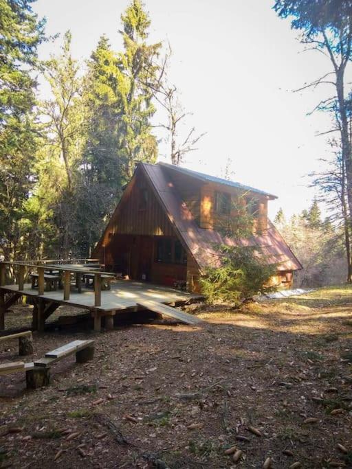 Roztomilá a utulná chata Azzy na samotě v lese