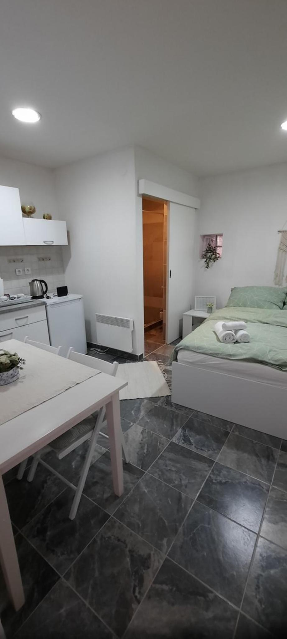 Studio apartman Centar