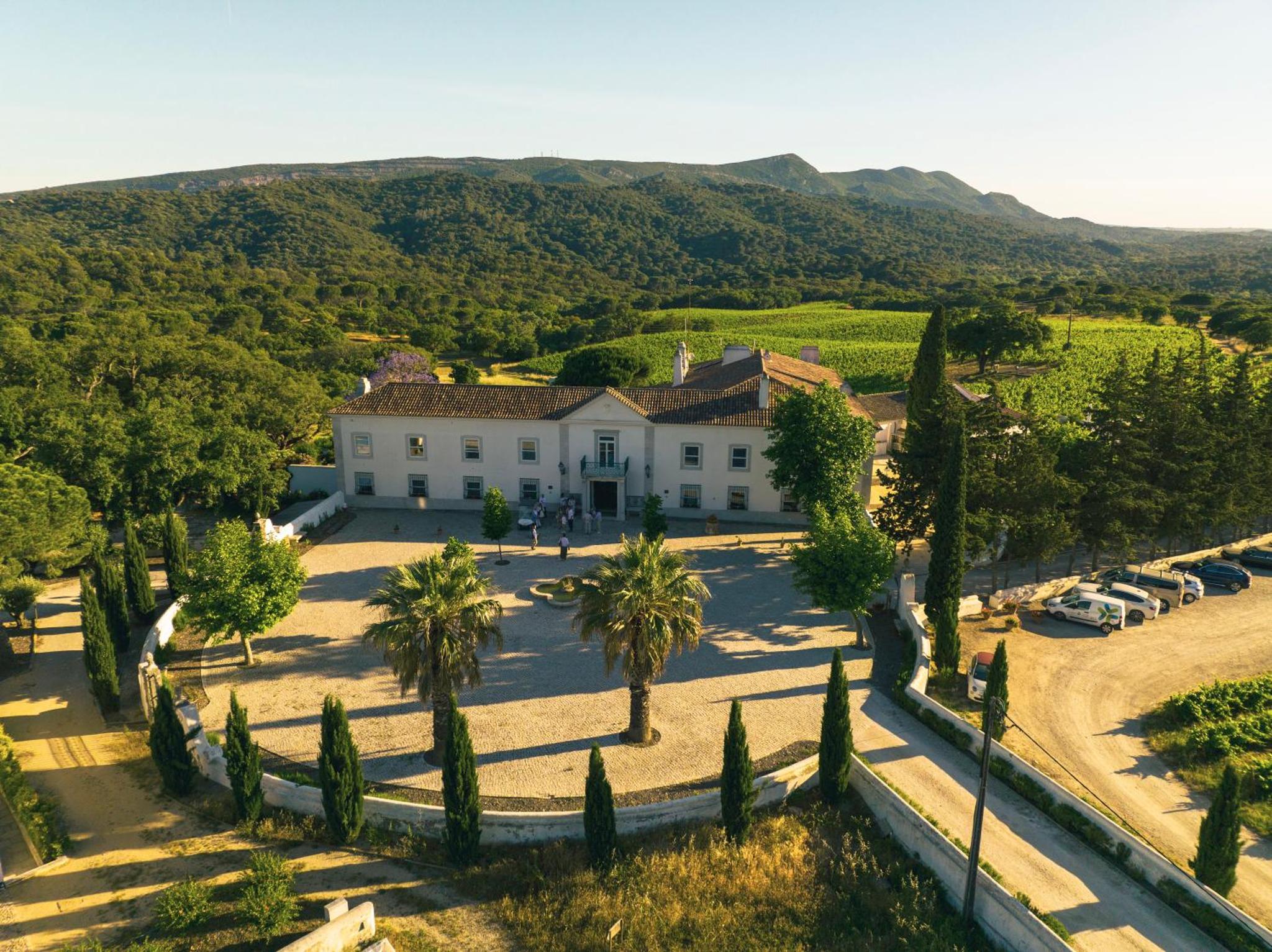 Hotel Casa Palmela