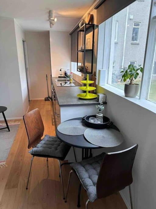 Studio Apartment Reykjavik City Center