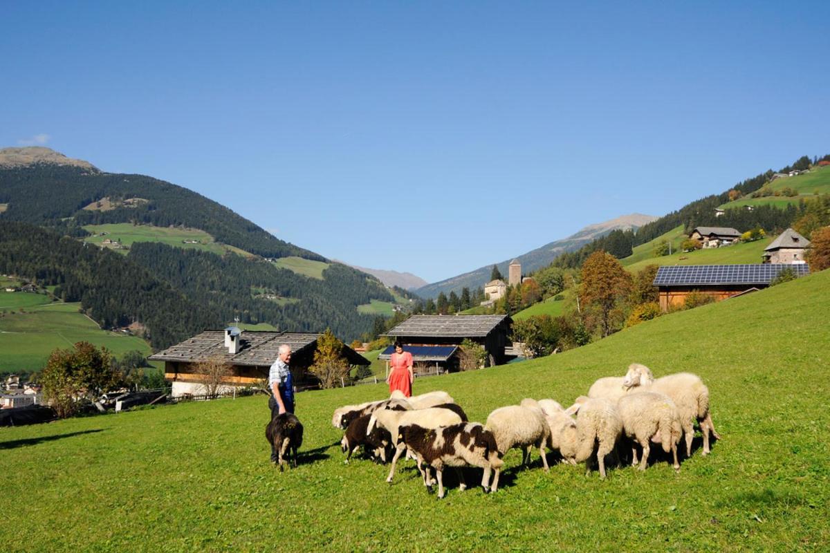 Botenhof - Urlaub auf dem Bauernhof - Agriturismo