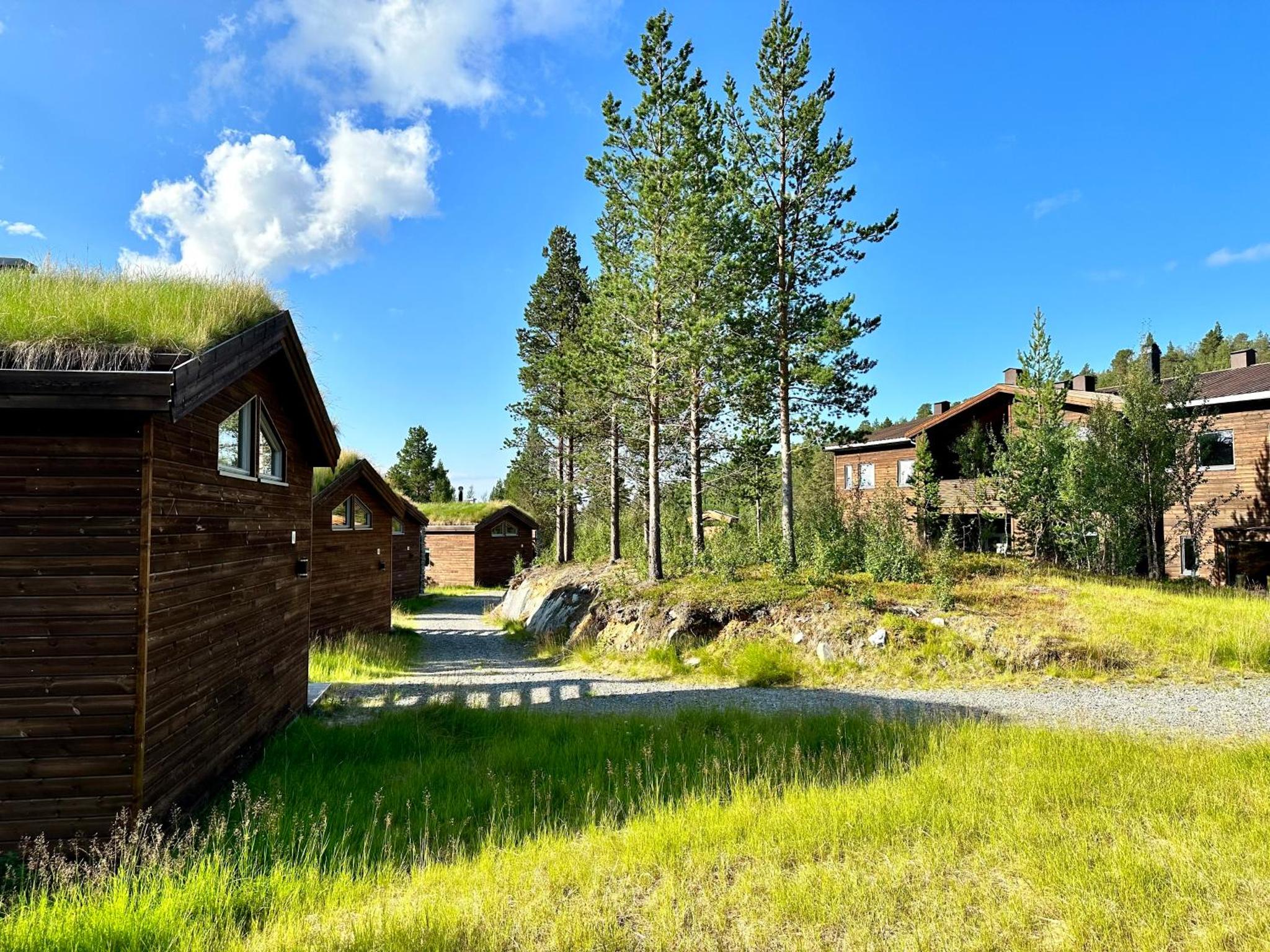 Bjørnfjell Mountain Lodge