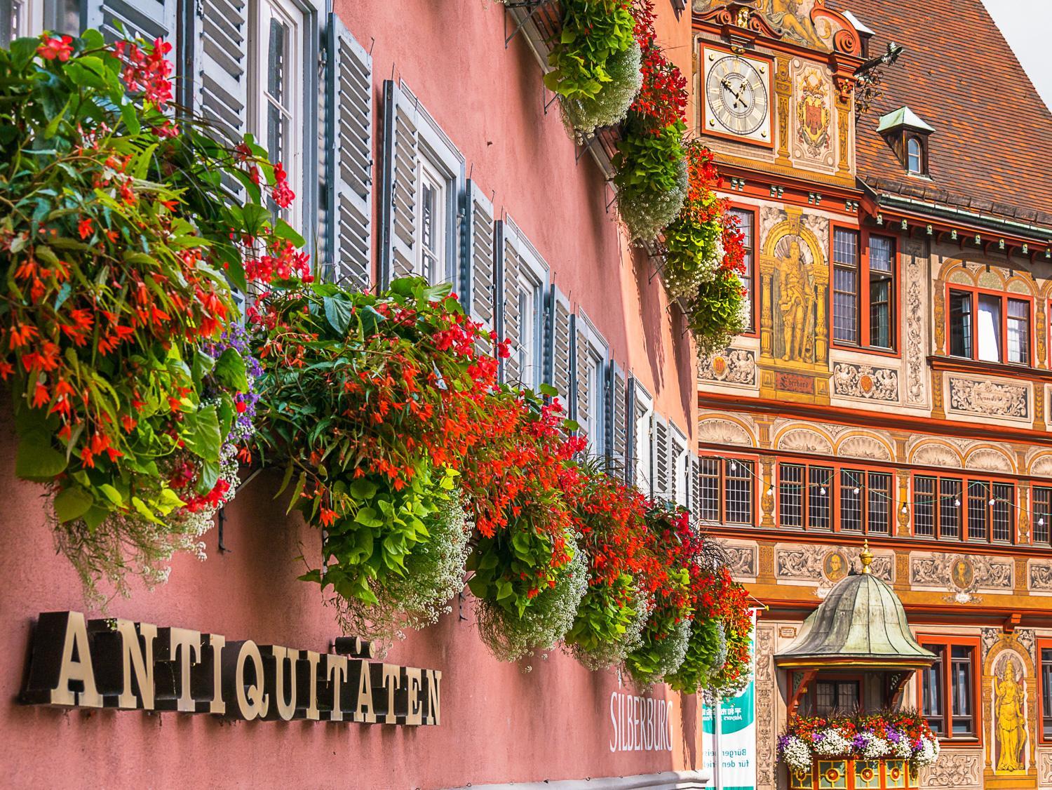 City Apartment Tübingen-Lustnau