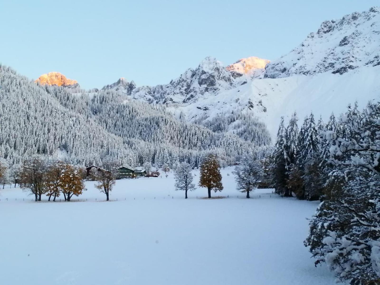 Family Appartment - Dachstein View