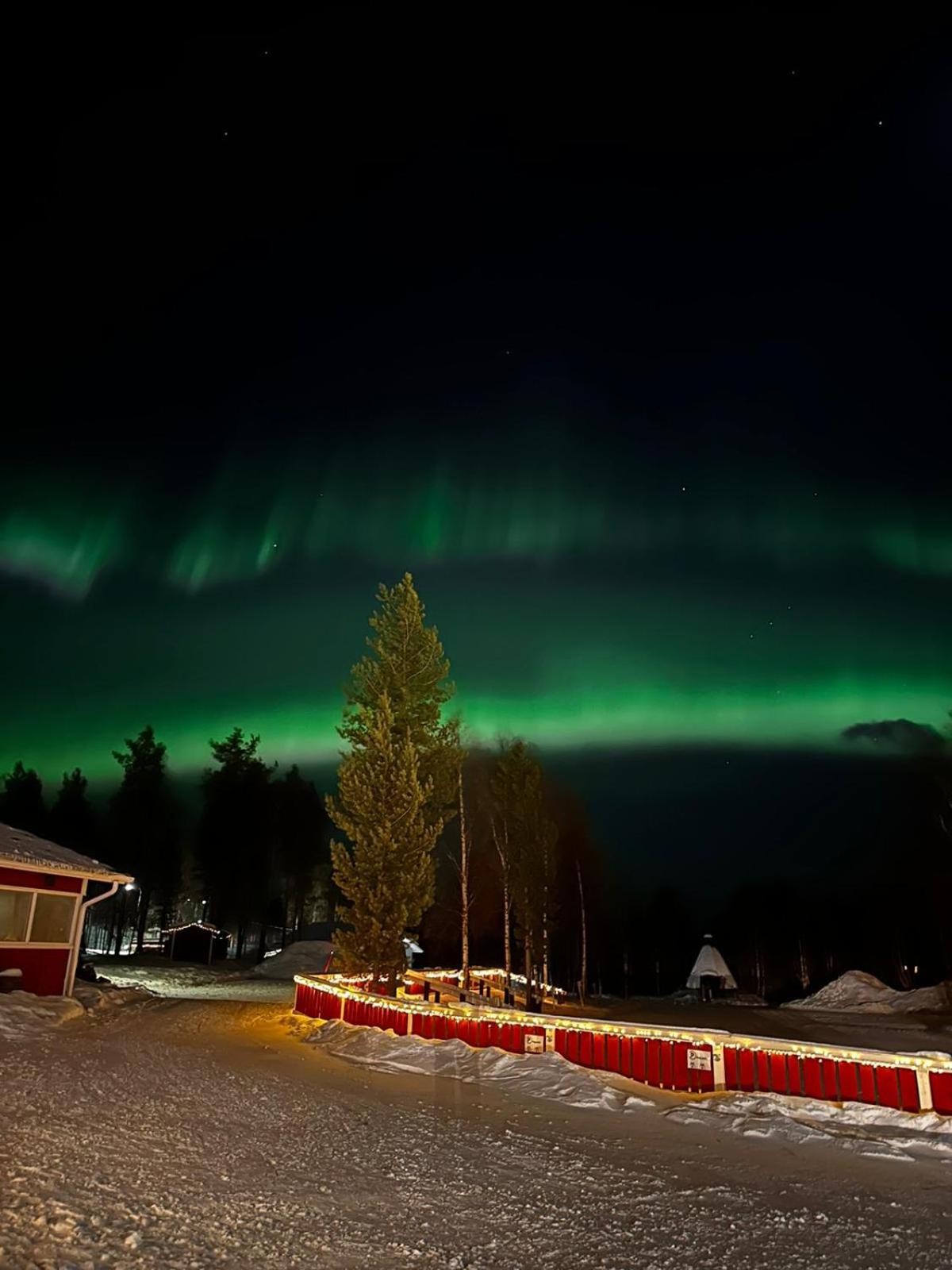 Ivalo River Camping