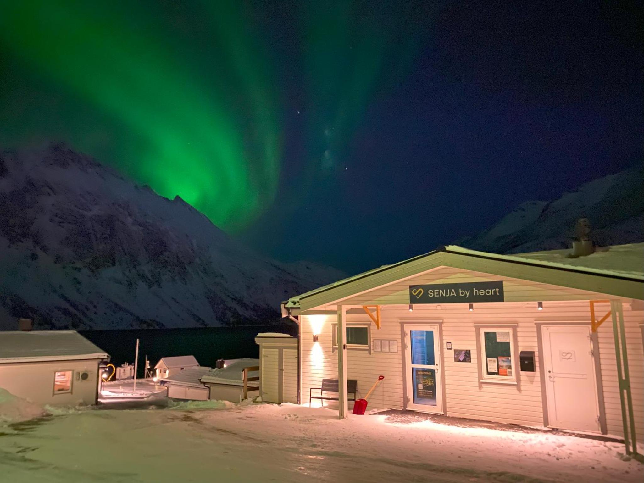 Senja Fjordcamp