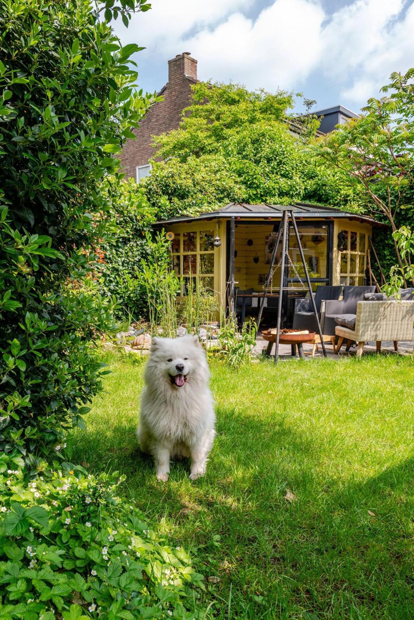 Tiny house - fietsverhuur, eigen keuken en badkamer