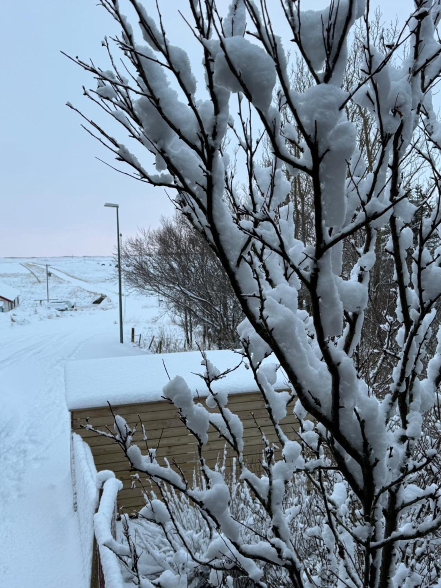 Álftartunga Gård Gjestehus