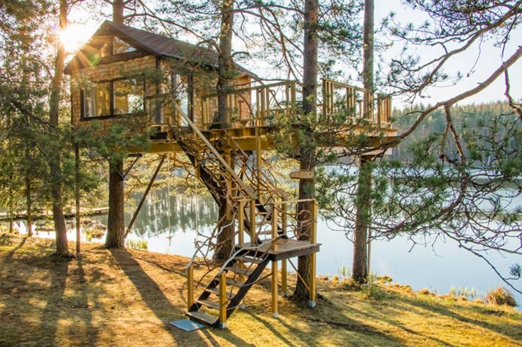 Treehouse Čiekurs