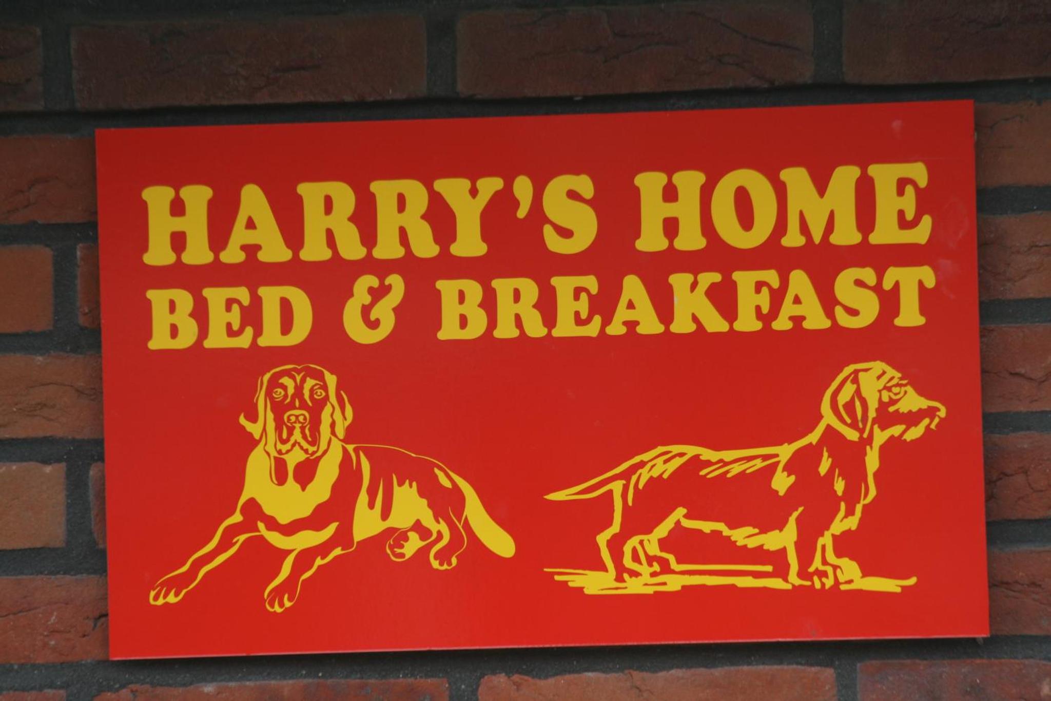 Harry's Home Tiel