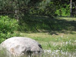 noclegi Stawiguda Wymój Park