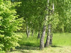 noclegi Stawiguda Wymój Park