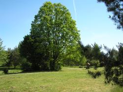 noclegi Stawiguda Wymój Park