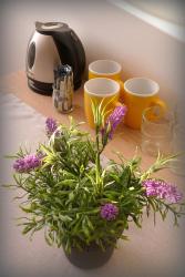 noclegi Łeba Willa Wodołaz