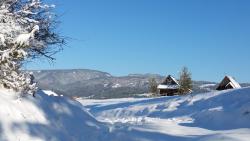 noclegi Szczawnica Apartamenty Tyrol