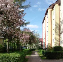 noclegi Kudowa-Zdrój Apartament Jaśminowy