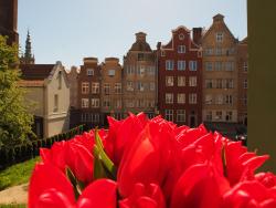 noclegi Gdańsk Grand Tourist Gemini II